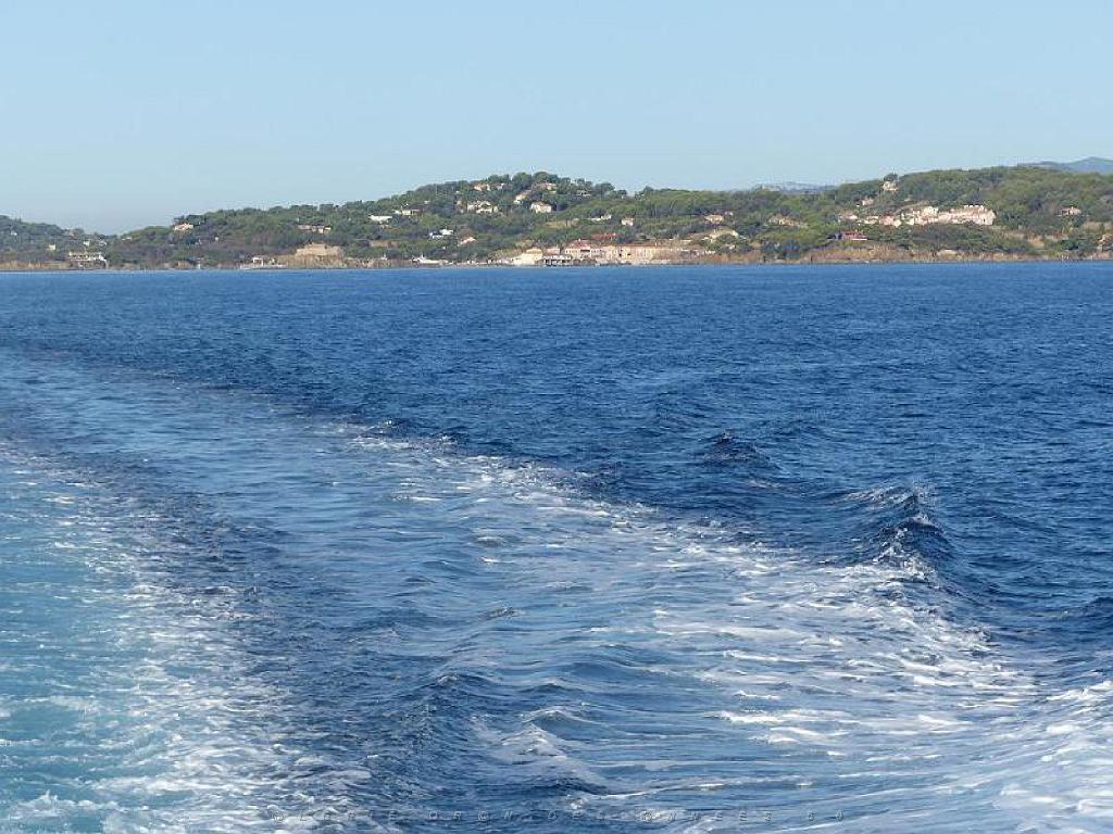 183 ILE DE PORQUEROLLES -1_000008.jpg
